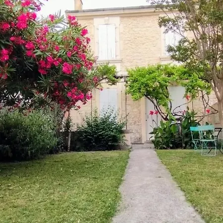 Villa Jardin Fleuri Avignon